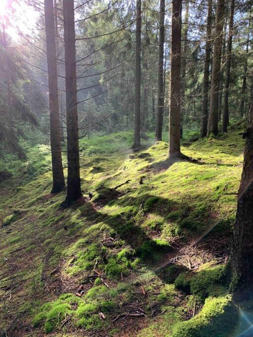 Panoramavy Naera Gbg Och Natur Olofstorp Exteriér fotografie